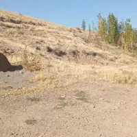 زمین برا ویلا و باغ|فروش دفتر صنعتی، کشاورزی، تجاری|بستان آباد, |دیوار