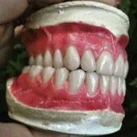 ساخت دندان متحرک|خدمات آرایشگری و زیبایی|شوش, |دیوار