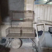 قفس پرون