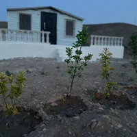 زمین باغی با سازه ۲۰ متری فیروزکوه