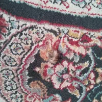 ۲ تا فرش ۱۲ و ۶ متری یه رنگ|فرش|بومهن, |دیوار