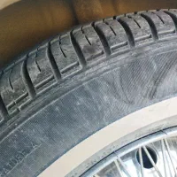 لاستیک دورسفیدپیکان