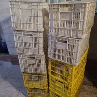 سبد ۲۰ کیلویی مرغ کشتار روز