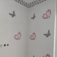 رنگ آمیزی ساختمان و درب پنجره|خدمات پیشه و مهارت|سوسنگرد, |دیوار