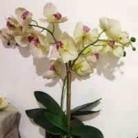 گل گلدان خیلی قشنگ جنس خارجی در حد گل مصنوعی هستش