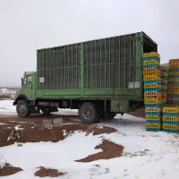 بنز ۹۱۱مدل ۴۸ کارت ۹ تن|خودرو سنگین|بیرجند, |دیوار