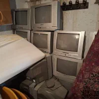 تلویزیون