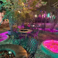 برگزاری ایونت مافیا/تولد/دورهمی
