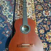 گیتار اکو primo series1