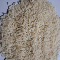برنج هاشمی اصل وخوش پخت