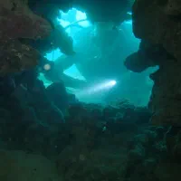 کلیه خدمات غواصی صنعتی