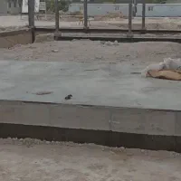 سازه وساختمانی|خدمات پیشه و مهارت|بندر کنگان, |دیوار