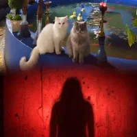 استخدام اکتور خانم و آقا