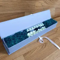 دیزاین پول|صنایع دستی و سایر لوازم تزئینی|تهران, مشیریه|دیوار