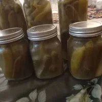 خیارشور خانگی