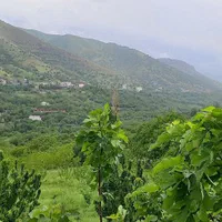 ویلا