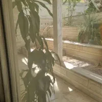 رهن و اجاره آپارتمان۱۶۰ متر۳ خواب با پارکینگ/ارتش
