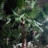 جذب نیروی کار در باغ رستوران