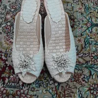 کفش ودمپایی