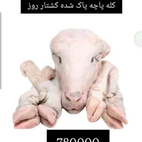 کله پاچه و سیرابی هردو باهم 850
