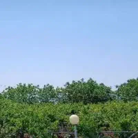 باغبان جهت آبیاری قطره ای و باغبانی