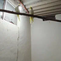 عروس هلندی کاملا سالم و خانگی|پرنده|مبارکه, |دیوار