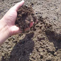 کود گوسفندی|خدمات باغبانی و درختکاری|همدان, |دیوار