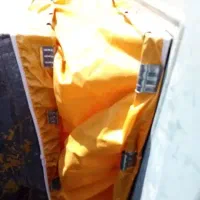 سرویس انواع کولرابی