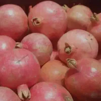 انار ابگیری