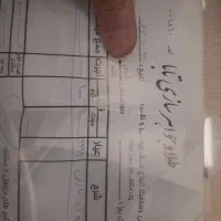 ساچمه‌نقره|جواهرات|قم, بنیاد|دیوار