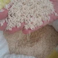 برنج هاشمی