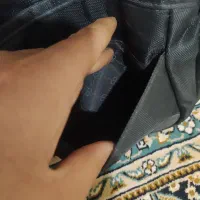 کیف کت نو نو|کیف، کفش، کمربند|شیراز, قلات|دیوار