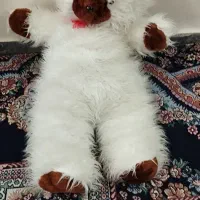 لباس ورزشی|کفش و لباس بچه|دزفول, |دیوار