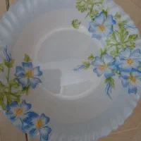 ارکوپال امارات گل ابی