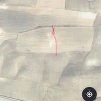 زمین دیم در شوریک