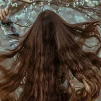 شعبه و دفتر فروش موهای طبیعی بدون واسطه در کاشان