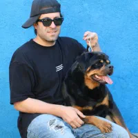 روتوایلر|سگ|قائم‌شهر, |دیوار