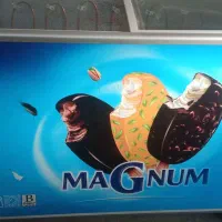 یخچال فریزر