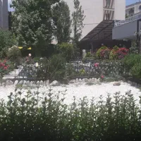۶۰۰ متر تجاری نیاوران