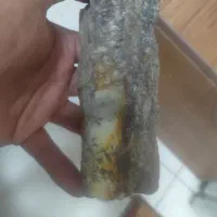 سنگ شجر