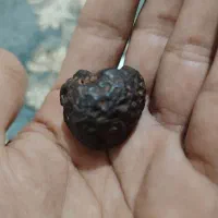 شهاب سنگ|کلکسیون اشیاء عتیقه|شیراز, ابیوردی|دیوار