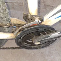 دوچرخه 26 ویوا شارپ|دوچرخه، اسکیت، اسکوتر|برازجان, |دیوار