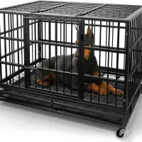 ساخت انواع قفس سگ