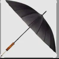 چتربزرگسال زیر قیمت بازار