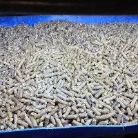 کنسانتره میوه ای