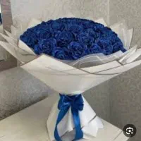 گل روبانی شیک|گل و گیاه طبیعی|یاسوج, |دیوار