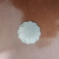 سکه کلکسیونی|کلکسیون سکه، تمبر، اسکناس|کهک, |دیوار