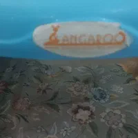 روروک ابی|کالسکه و لوازم جانبی|تهران, سهروردی|دیوار