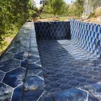 ایزوگام یحیی زاده