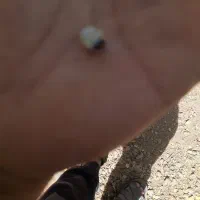 ۳ف۳|جواهرات|جیرفت, |دیوار